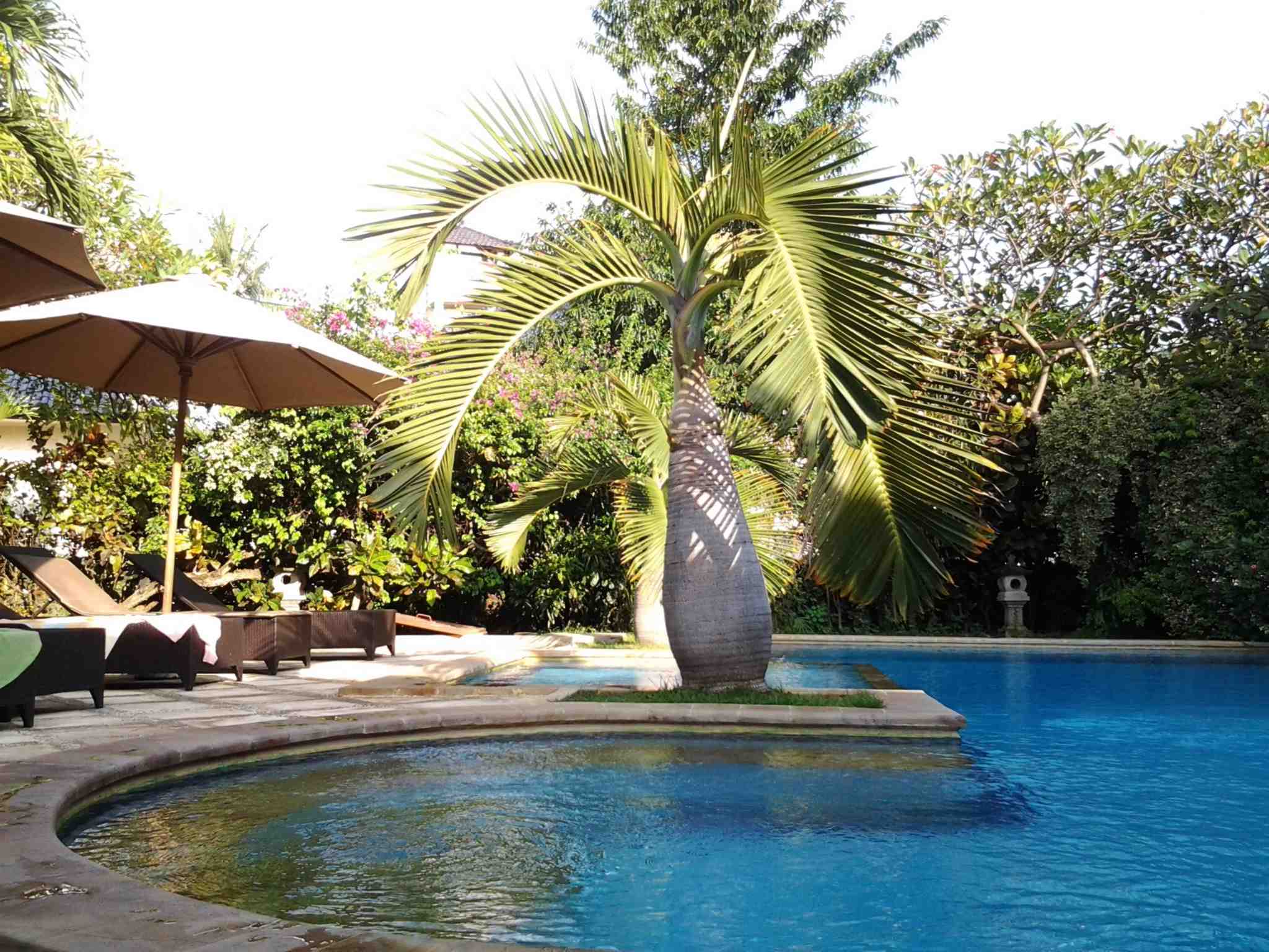 Villa Jaya, Bali